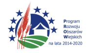 Logo of the RDP program